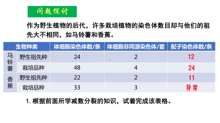 5.2染色体变异ppt课件(同名4)-2023新人教版(2019）《高中生物》必修第二册.pptx_第3页