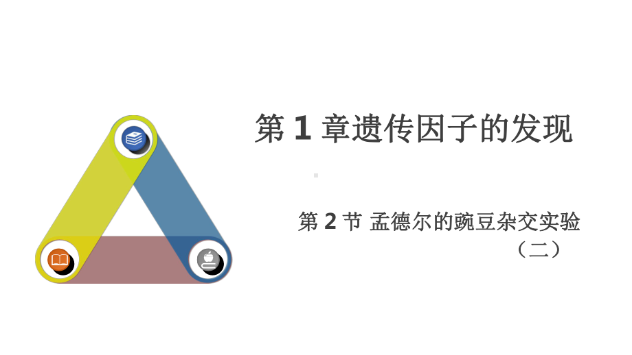 1.2孟德尔的豌豆杂交实验(二）说课ppt课件-2023新人教版(2019）《高中生物》必修第二册.pptx_第1页