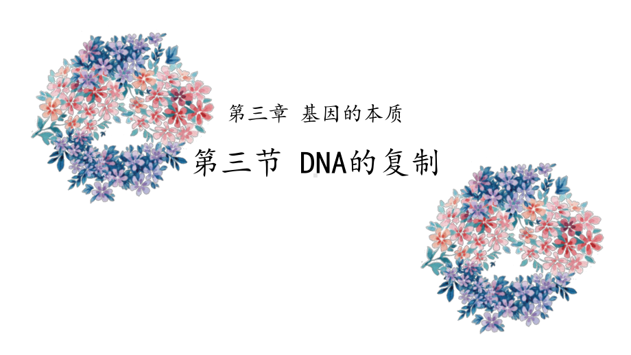 3.3DNA的复制ppt课件2(同名1)-2023新人教版(2019）《高中生物》必修第二册.pptx_第1页