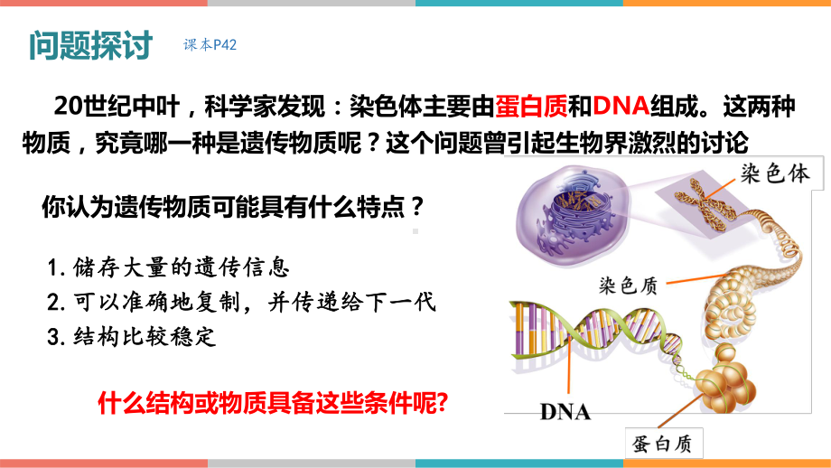 3.1 DNA是主要的遗传物质ppt课件(同名2)-2023新人教版(2019）《高中生物》必修第二册.pptx_第3页