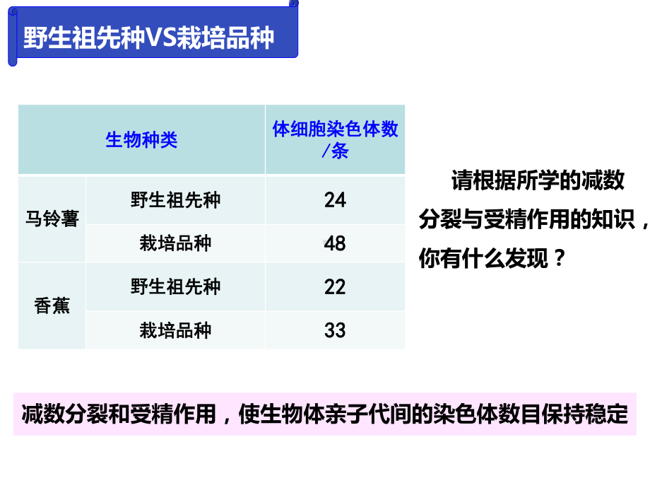 5.2.1染色体数目变异ppt课件-2023新人教版(2019）《高中生物》必修第二册.pptx_第2页