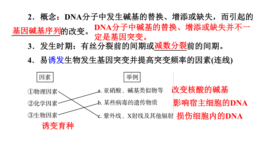 一轮复习生物：第19课　基因突变、基因重组和染色体变异 ppt课件 -2023新人教版(2019）《高中生物》必修第二册.pptx_第3页