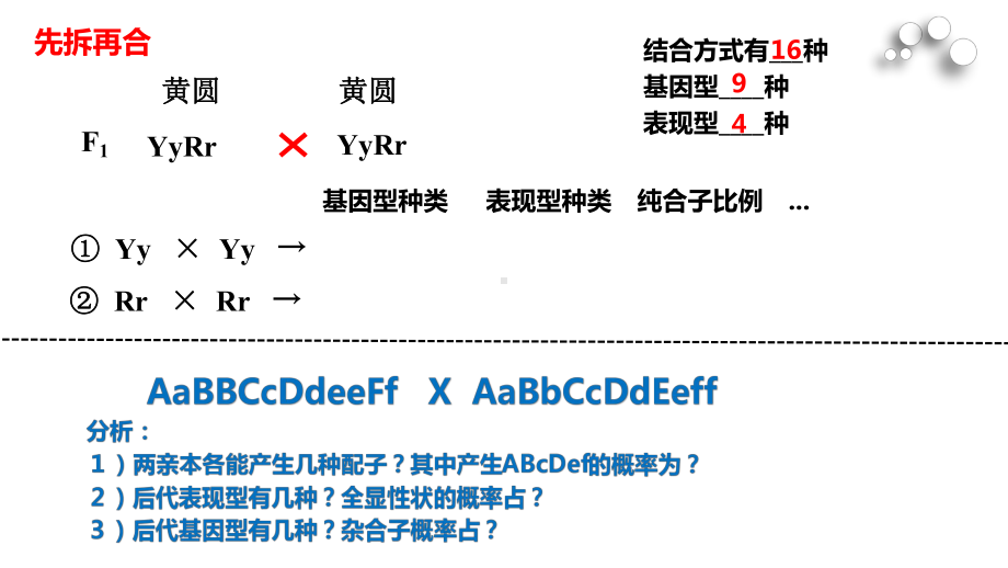 1.2 孟德尔的豌豆杂交实验(二）(同名第2课时）ppt课件-2023新人教版(2019）《高中生物》必修第二册.pptx_第2页