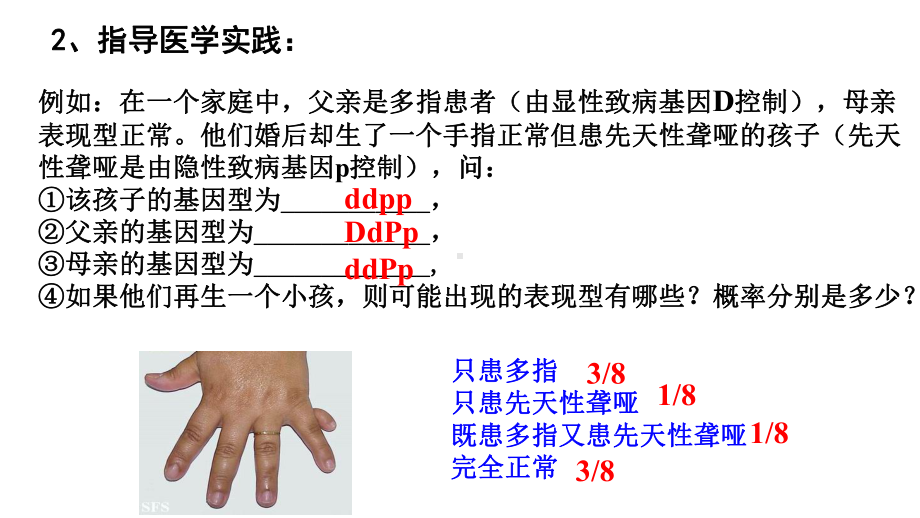 1.2 孟德尔的豌豆杂交实验(二）第二课时ppt课件-2023新人教版(2019）《高中生物》必修第二册.ppt_第3页