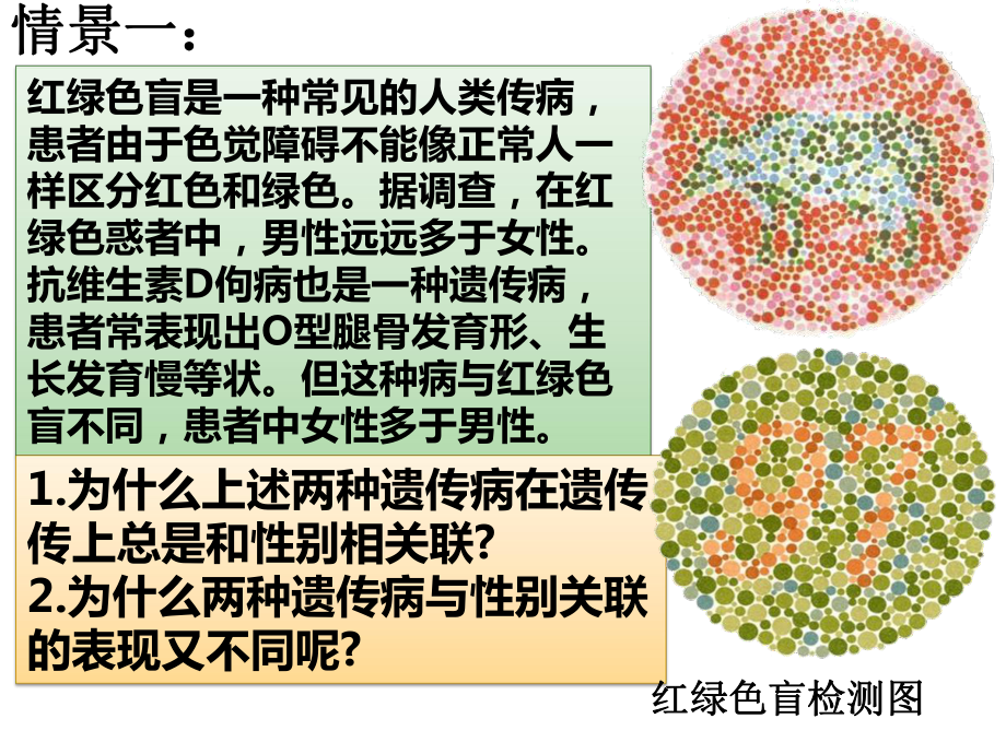 2.3伴性遗传ppt课件-(同名1)-2023新人教版(2019）《高中生物》必修第二册.pptx_第2页