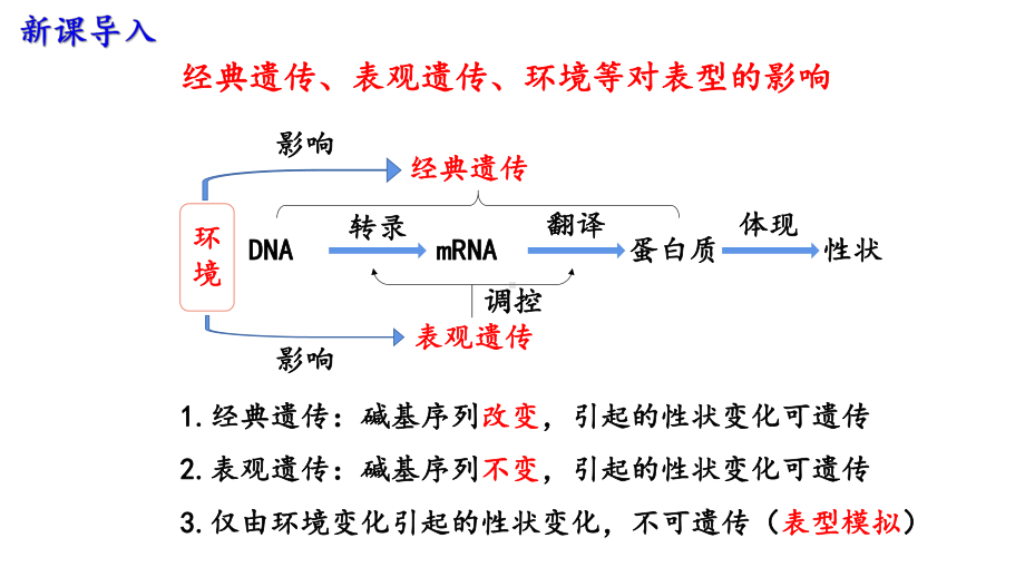 5.1 基因突变和基因重组第1课时ppt课件-2023新人教版(2019）《高中生物》必修第二册.pptx_第1页