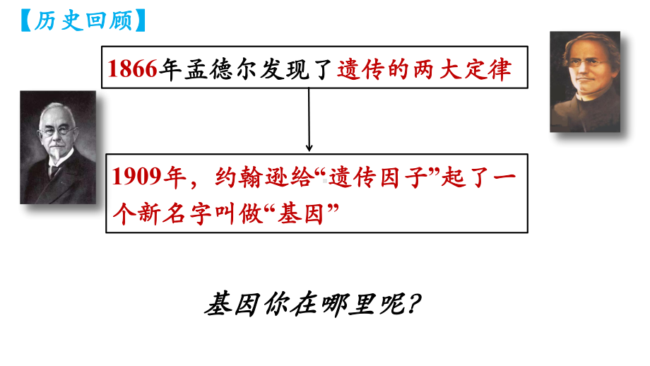 2.2基因在染色体上ppt课件 (同名2)-2023新人教版(2019）《高中生物》必修第二册.pptx_第1页