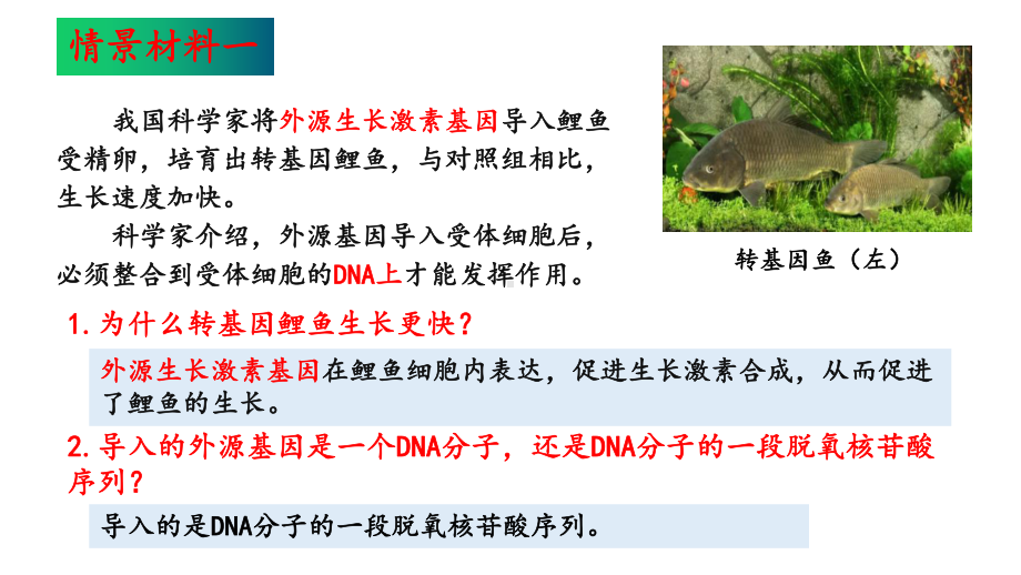 3.4基因通常是有遗传效应的DNA片段ppt课件(同名1)-2023新人教版(2019）《高中生物》必修第二册.pptx_第2页