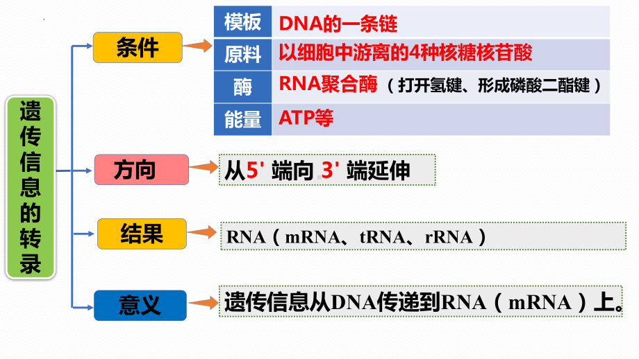 4.1基因指导蛋白质的合成第2课时ppt课件(同名1)-2023新人教版(2019）《高中生物》必修第二册.pptx_第3页