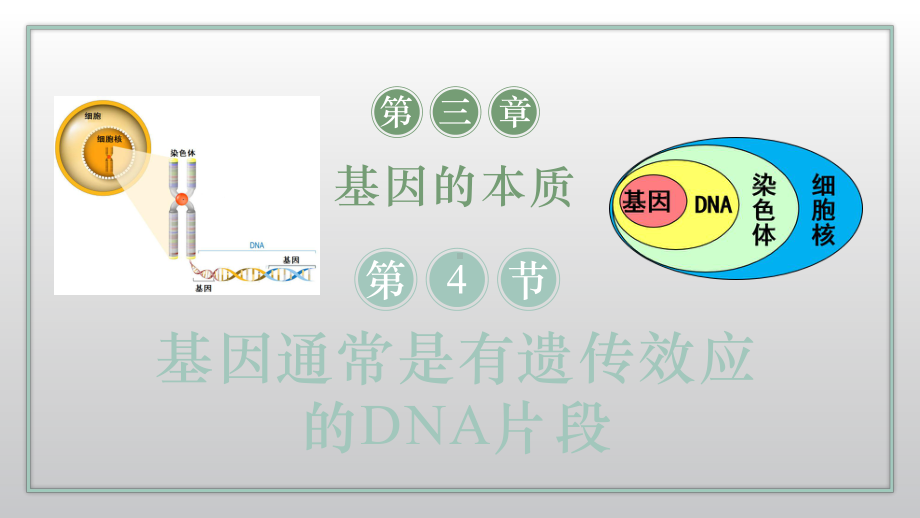 3.4基因通常是有遗传效应的DNA片段ppt课件2-2023新人教版(2019）《高中生物》必修第二册.pptx_第1页