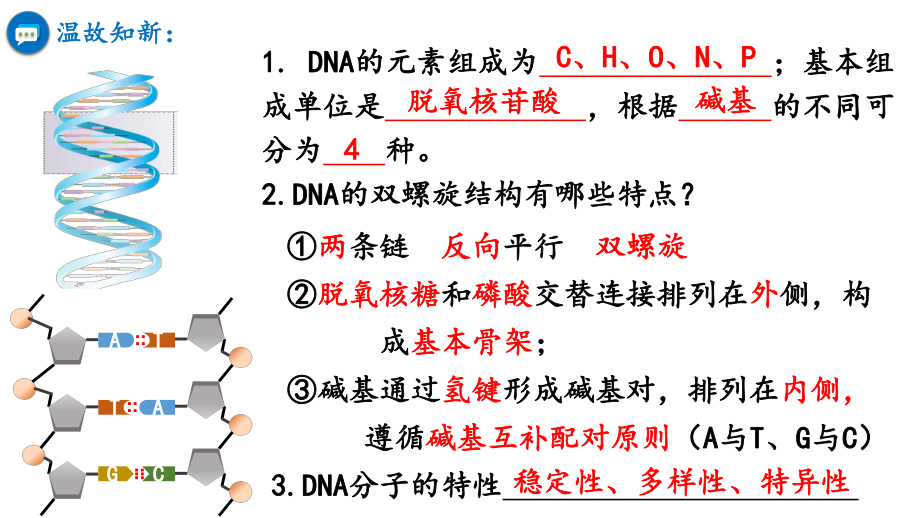 3.3DNA的复制ppt课件2-2023新人教版(2019）《高中生物》必修第二册.pptx_第1页