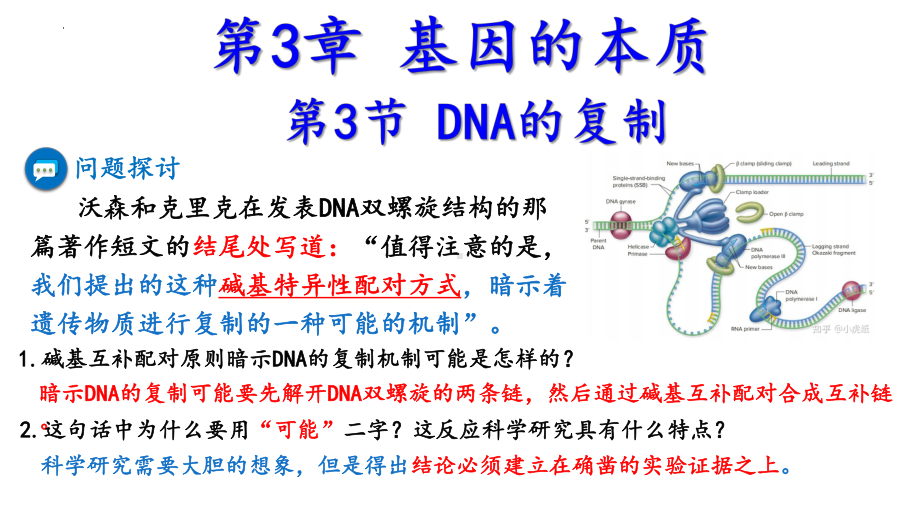 3.3DNA的复制ppt课件2-2023新人教版(2019）《高中生物》必修第二册.pptx_第2页