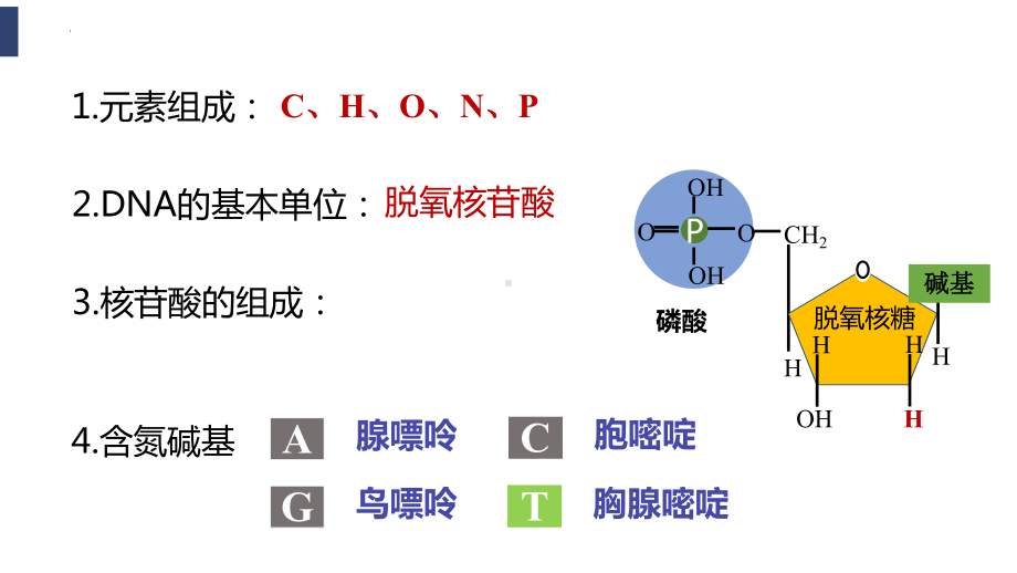 3.2DNA的结构ppt课件2-2023新人教版(2019）《高中生物》必修第二册.pptx_第3页