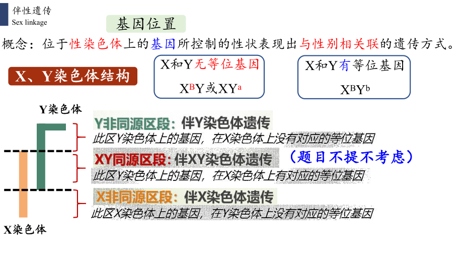 2.3 伴性遗传ppt课件(同名5)-2023新人教版(2019）《高中生物》必修第二册.pptx_第2页