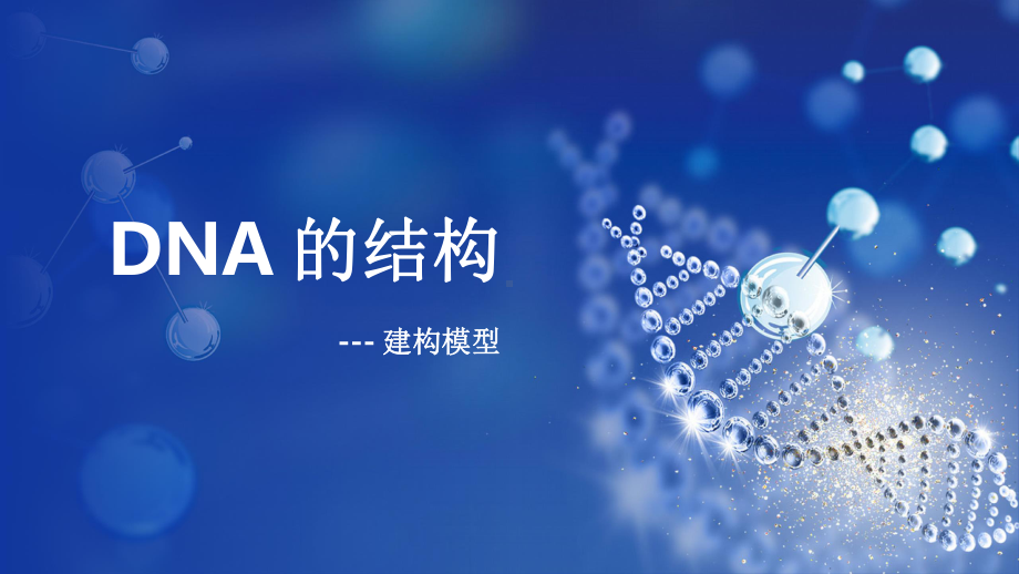 4.2 DNA 的结构ppt课件-2023新人教版(2019）《高中生物》必修第二册.pptx_第2页