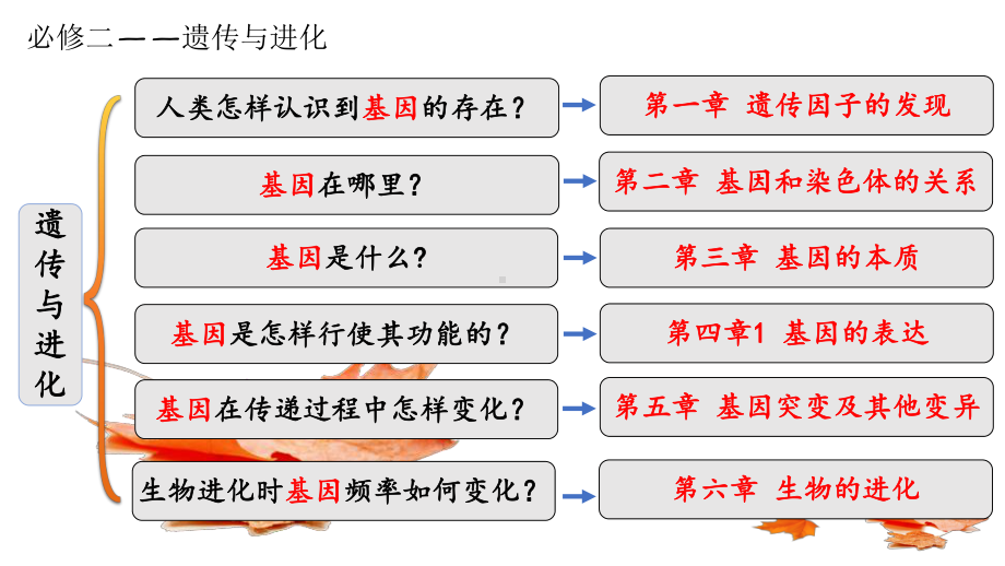 1.1孟德尔的豌豆杂交实验(一）第一课时ppt课件-2023新人教版(2019）《高中生物》必修第二册.pptx_第1页