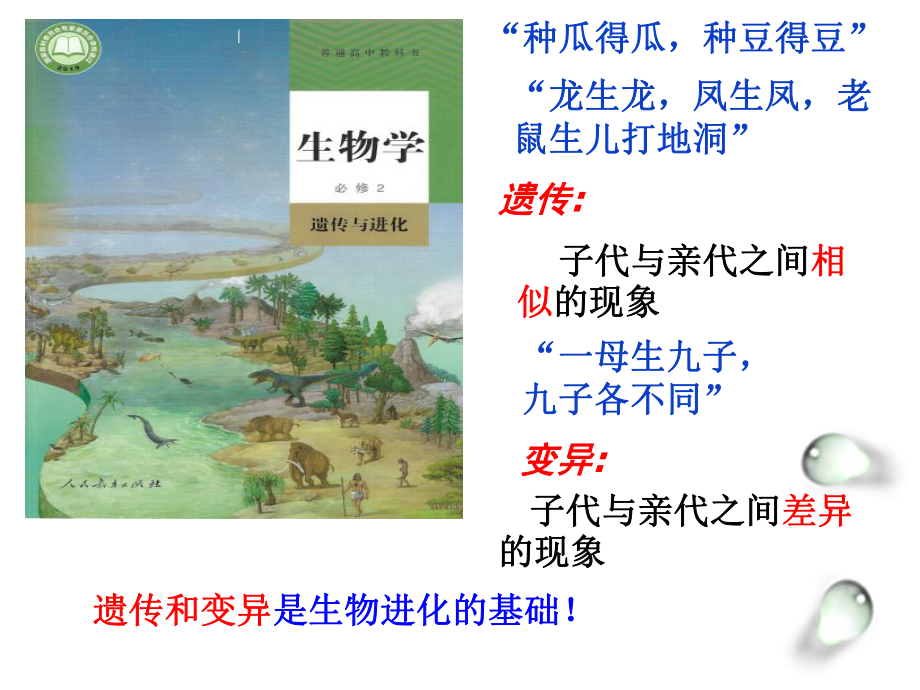 1.1 孟德尔的豌豆杂交实验(一）ppt课件-2023新人教版(2019）《高中生物》必修第二册.pptx_第1页