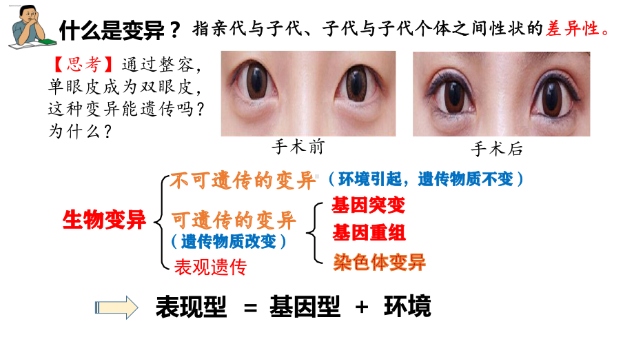 5.1基因突变和基因重组ppt课件 (同名2)-2023新人教版(2019）《高中生物》必修第二册.pptx_第2页