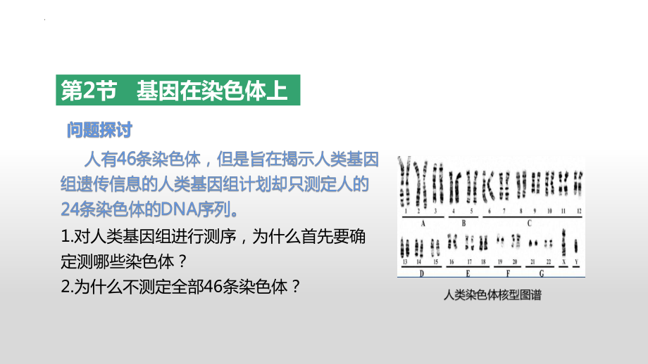 2.2 基因在染色体上ppt课件(同名3)-2023新人教版(2019）《高中生物》必修第二册.pptx_第1页