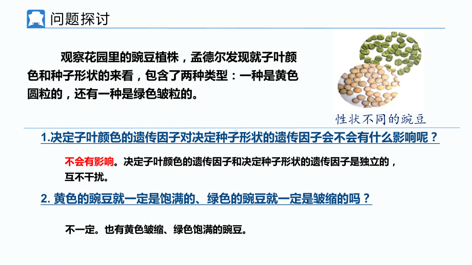 1.2孟德尔的豌豆杂交实验(二）ppt课件 (同名2)-2023新人教版(2019）《高中生物》必修第二册.pptx_第2页