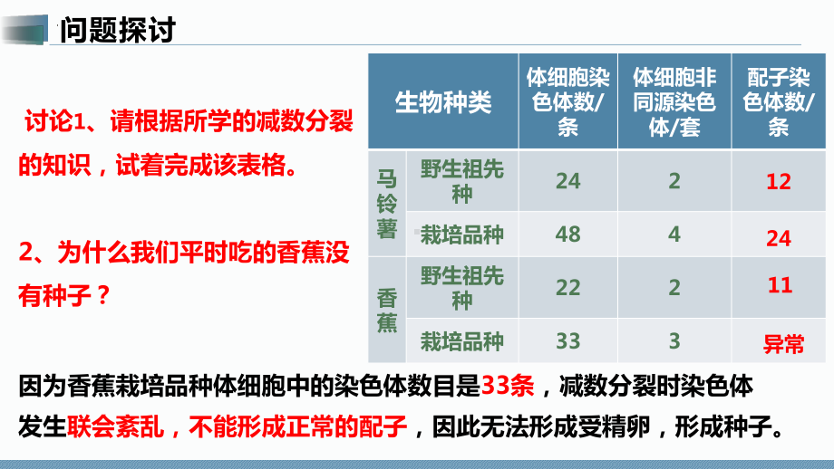 5.2染色体变异ppt课件 -2023新人教版(2019）《高中生物》必修第二册.pptx_第3页