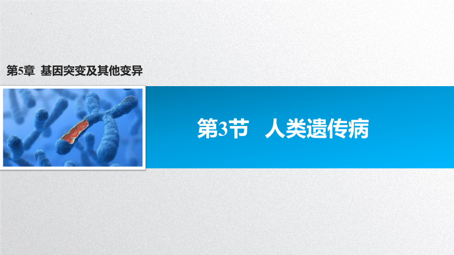 5.3 人类遗传病ppt课件 (同名2)-2023新人教版(2019）《高中生物》必修第二册.pptx_第1页