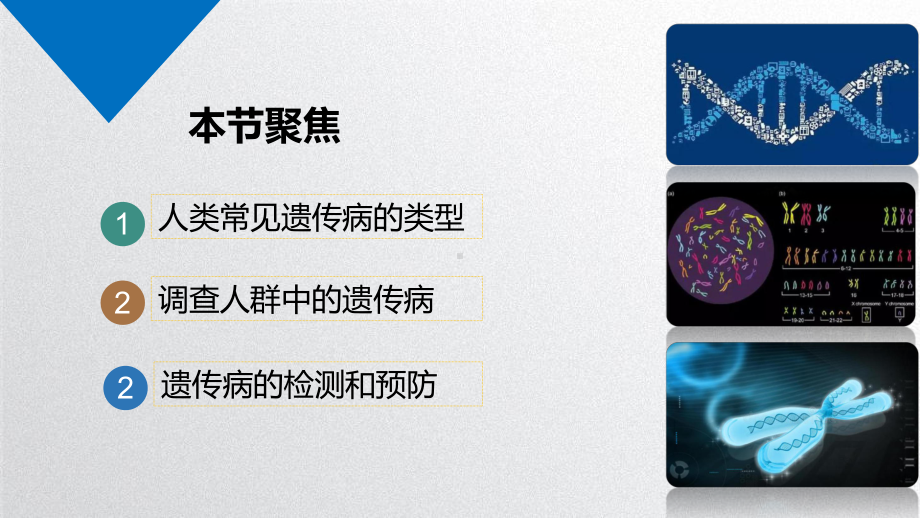 5.3 人类遗传病ppt课件 (同名2)-2023新人教版(2019）《高中生物》必修第二册.pptx_第2页