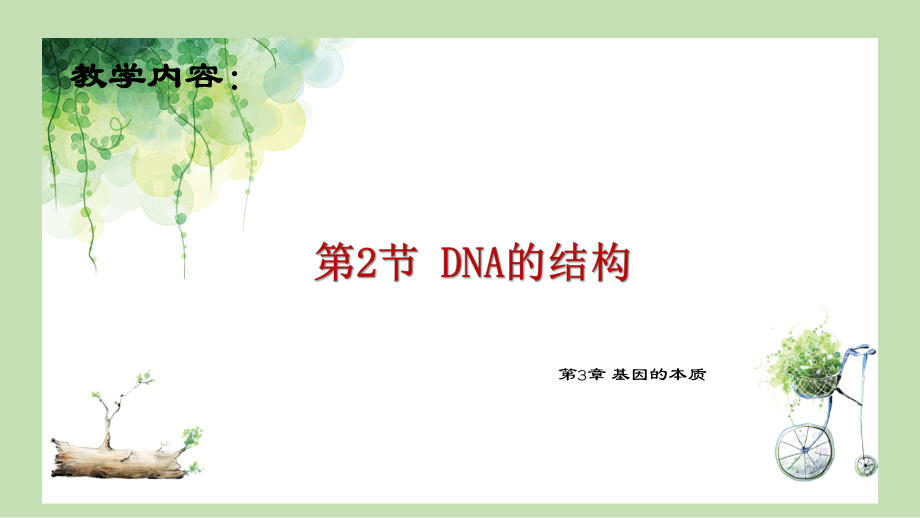 3.2 DNA的结构ppt课件(同名002)-2023新人教版(2019）《高中生物》必修第二册.pptx_第1页