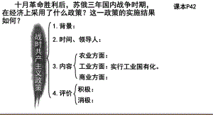 3.11 苏联的社会主义建设ppt课件 (同名3)-(同名部）统编版九年级下册《历史》.pptx