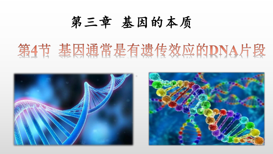 3.4基因通常是有遗传效应的DNA片段ppt课件 (同名2)-2023新人教版(2019）《高中生物》必修第二册.pptx_第1页