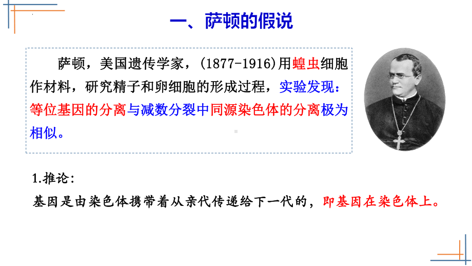 2.2基因在染色体上ppt课件--2023新人教版(2019）《高中生物》必修第二册.pptx_第3页