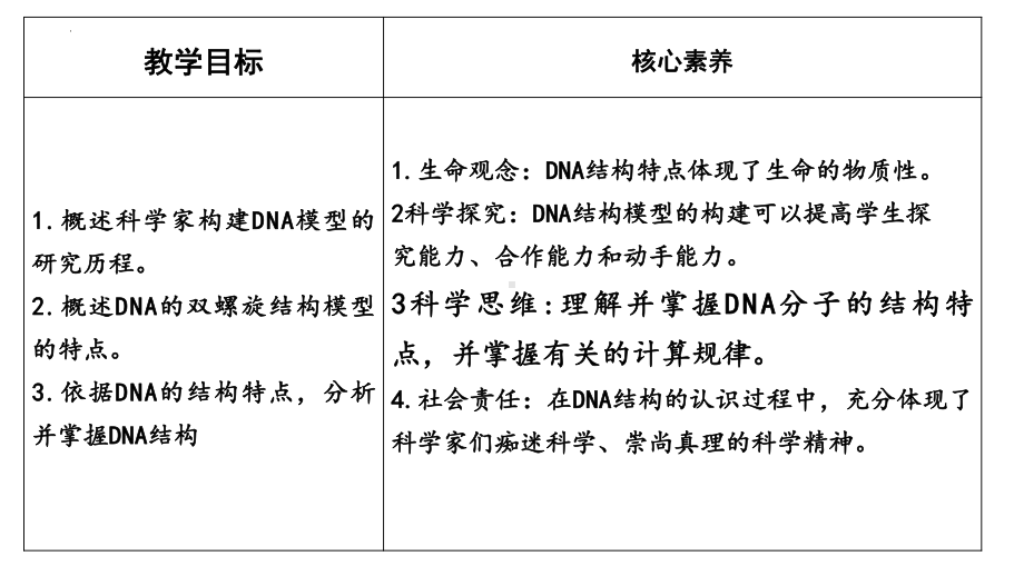 3.2 DNA的结构ppt课件(同名2)-2023新人教版(2019）《高中生物》必修第二册.pptx_第2页