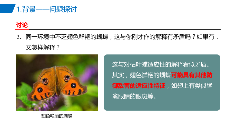 6.2自然选择与适应的形成ppt课件2(同名1)-2023新人教版(2019）《高中生物》必修第二册.pptx_第3页