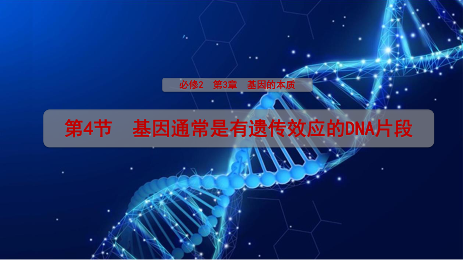 3.4 基因通常是有遗传效应的DNA片段ppt课件 (同名2)-2023新人教版(2019）《高中生物》必修第二册.pptx_第1页