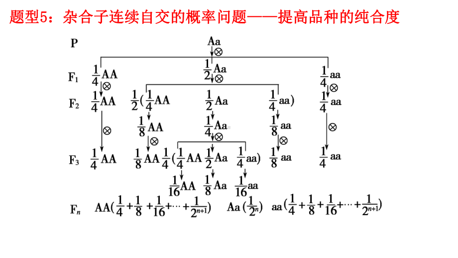 1.1孟德尔的豌豆杂交实验(一）第三课时ppt课件-2023新人教版(2019）《高中生物》必修第二册.ppt_第2页