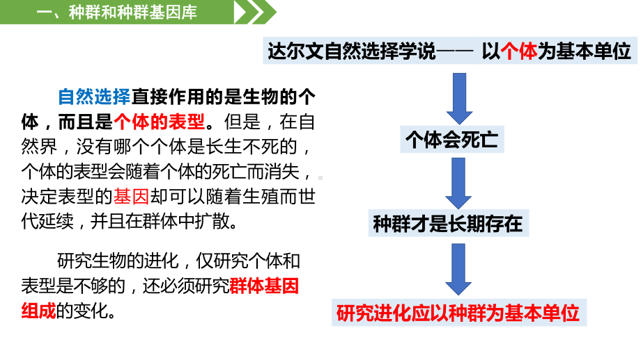 6.3种群基因组成的变化与物种的形成ppt课件2-2023新人教版(2019）《高中生物》必修第二册.pptx_第2页