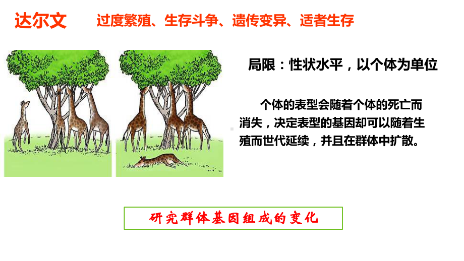 6.3 种群基因组成的变化与物种的形成ppt课件 (同名2)-2023新人教版(2019）《高中生物》必修第二册.pptx_第3页