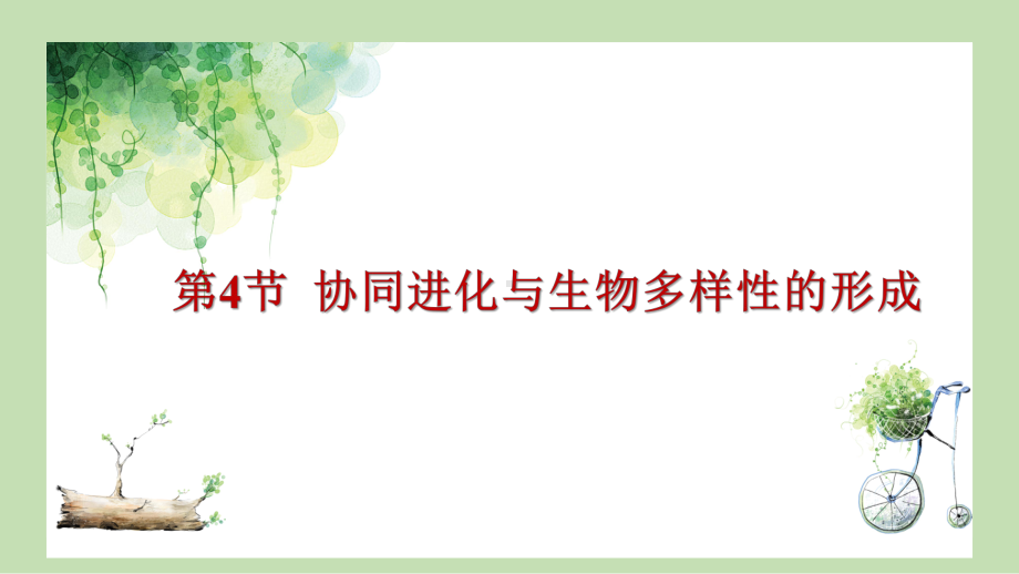 6.4 协同进化与生物多样性的形成ppt课件-2023新人教版(2019）《高中生物》必修第二册.pptx_第2页