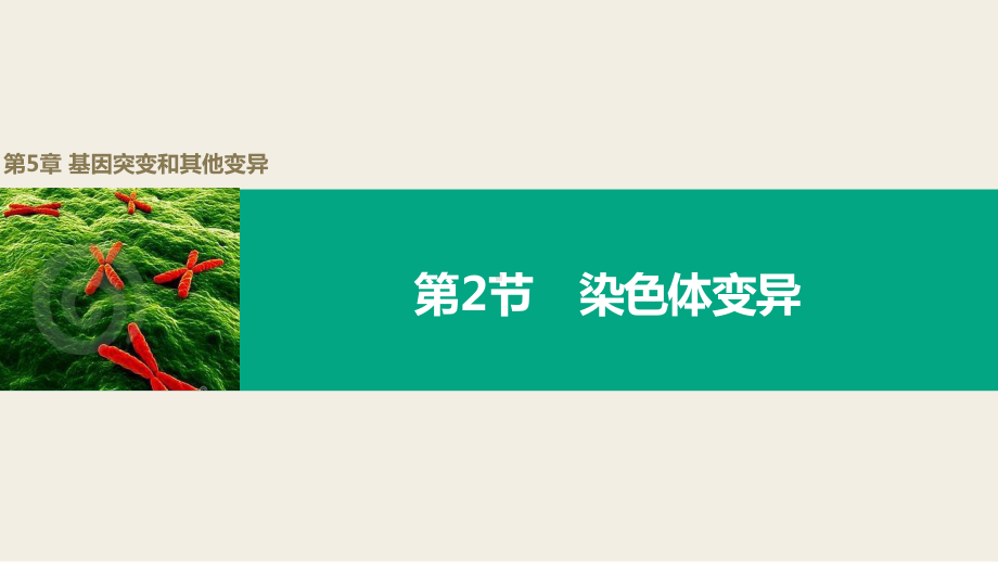 5.2　染色体变异ppt课件-2023新人教版(2019）《高中生物》必修第二册.pptx_第1页