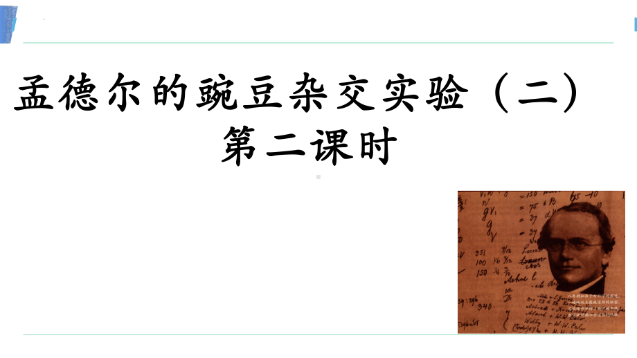 1.1孟德尔的豌豆杂交实验(一） 第二课时ppt课件-2023新人教版(2019）《高中生物》必修第二册.pptx_第1页