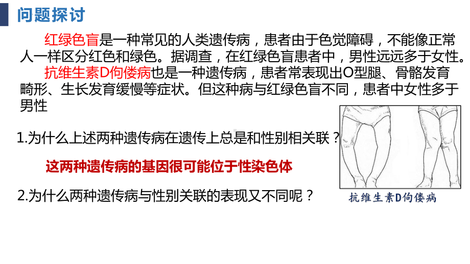 2.3伴性遗传ppt课件(同名2)-2023新人教版(2019）《高中生物》必修第二册.pptx_第3页