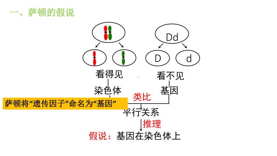 2.2基因在染色体上ppt课件(同名8)-2023新人教版(2019）《高中生物》必修第二册.pptx_第2页