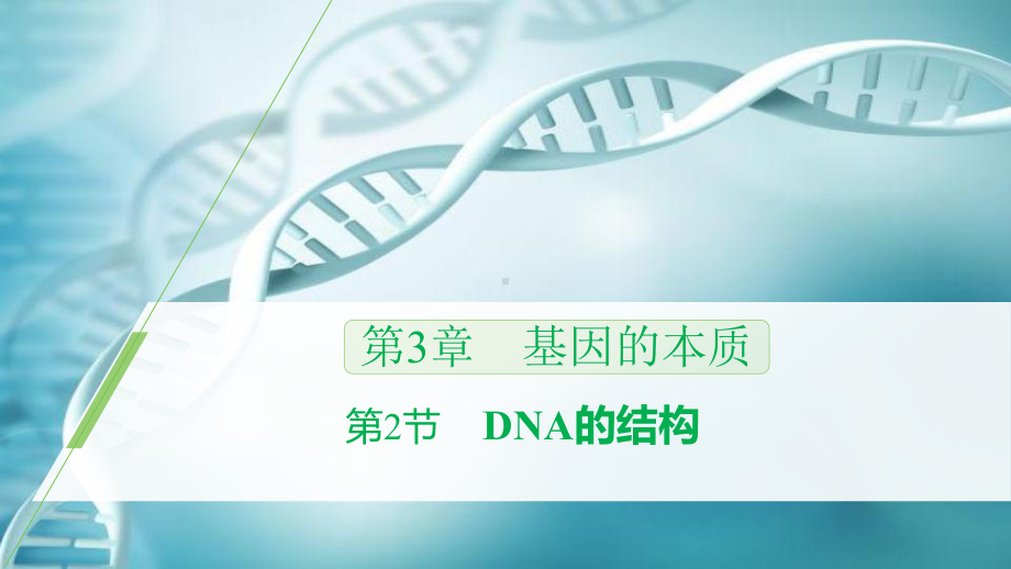 3.2 DNA的结构ppt课件(同名1)-2023新人教版(2019）《高中生物》必修第二册.pptx_第1页