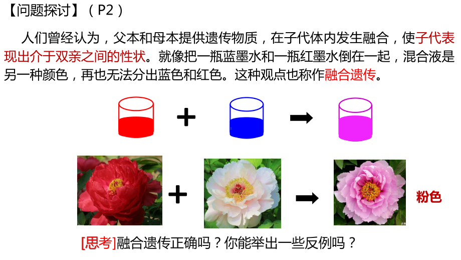 1.1孟德尔的豌豆杂交实验(一）ppt课件2-2023新人教版(2019）《高中生物》必修第二册.pptx_第3页