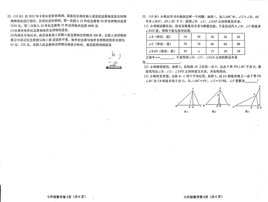 河南省南阳市镇平县2022-2023学年七年级下学期7月期末数学试题.pdf_第3页