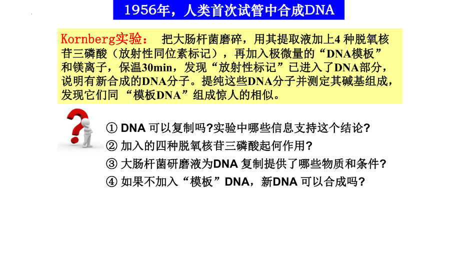 3.3DNA的复制ppt课件(同名4)-2023新人教版(2019）《高中生物》必修第二册.pptx_第2页