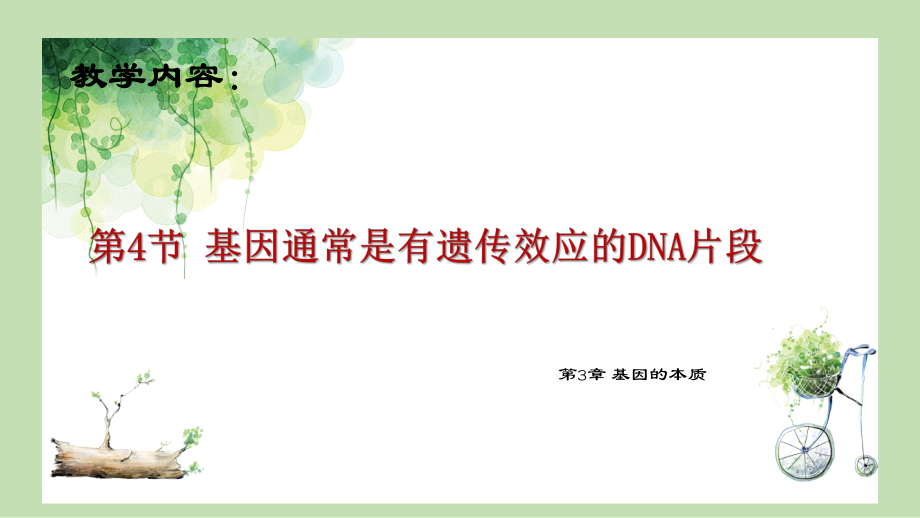 3.4 基因通常是有遗传效应的DNA片段ppt课件(同名1)-2023新人教版(2019）《高中生物》必修第二册.pptx_第1页