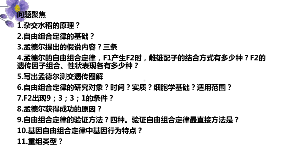 一轮复习生物：自由组合定律ppt课件-2023新人教版(2019）《高中生物》必修第二册.pptx_第1页