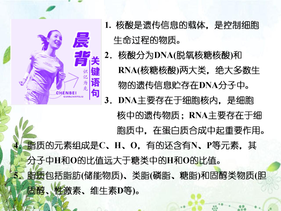 学年高中生物北师大版必修一课件时核酸和脂质文稿演示.ppt_第3页