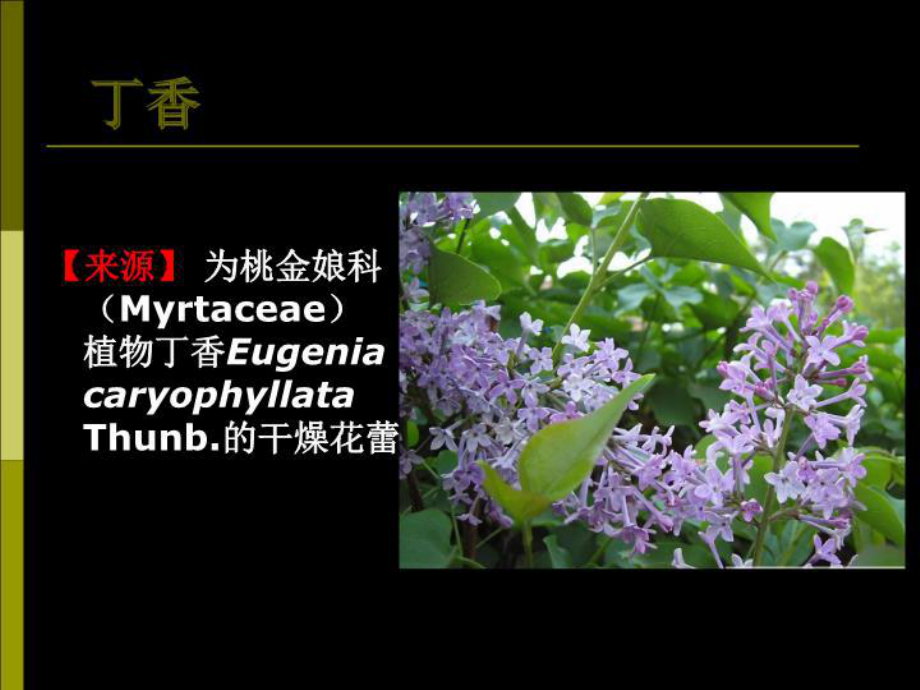 花类药材学课件.ppt_第2页